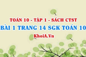 Bài 1 trang 14 SGK Toán 10 tập 1 Chân trời sáng tạo